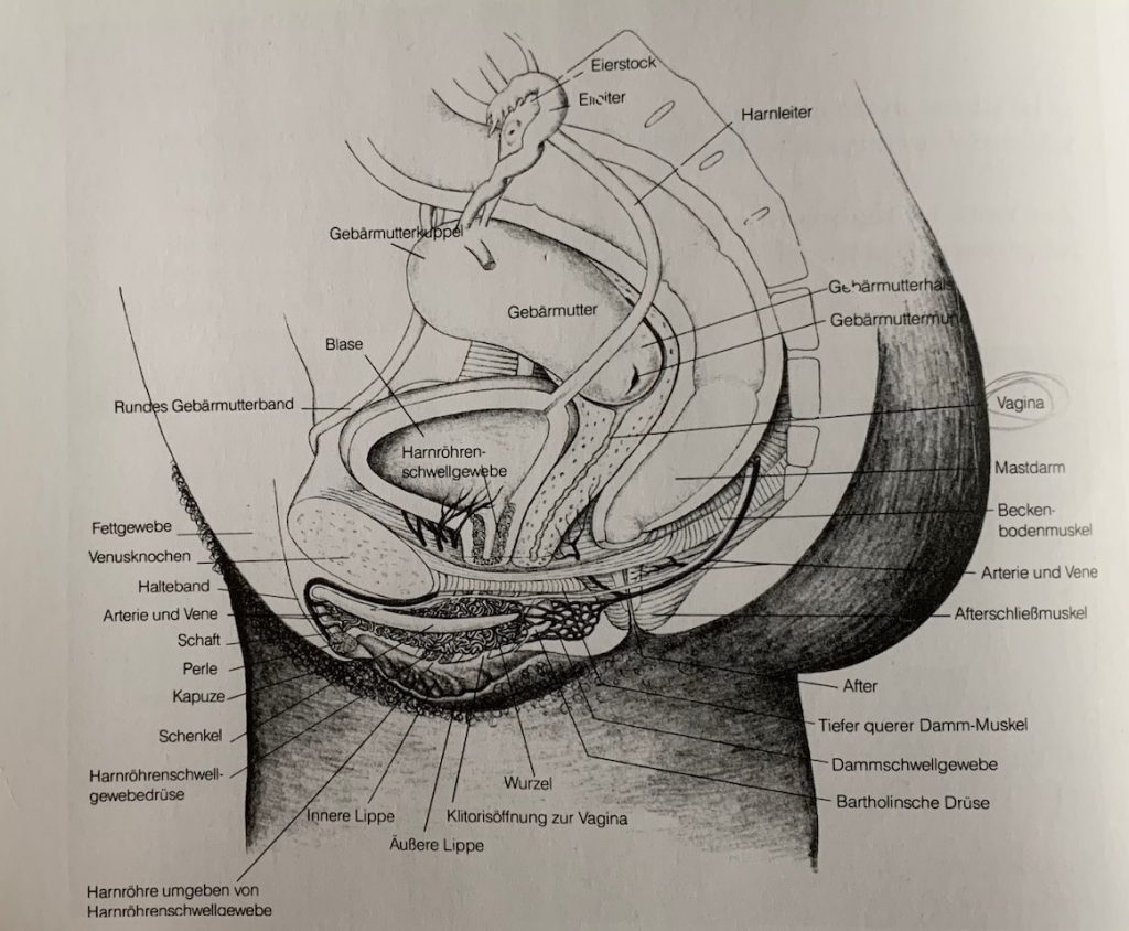 Wie tief ist die Vagina? Ist ihre Scheide nicht zu kurz für mich?