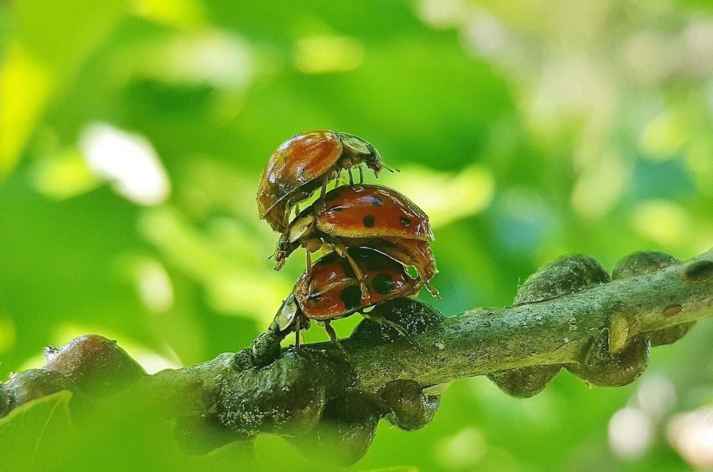 Freunde wollen mich öfter zum Dreier hinzuziehen, ich habe Zweifel