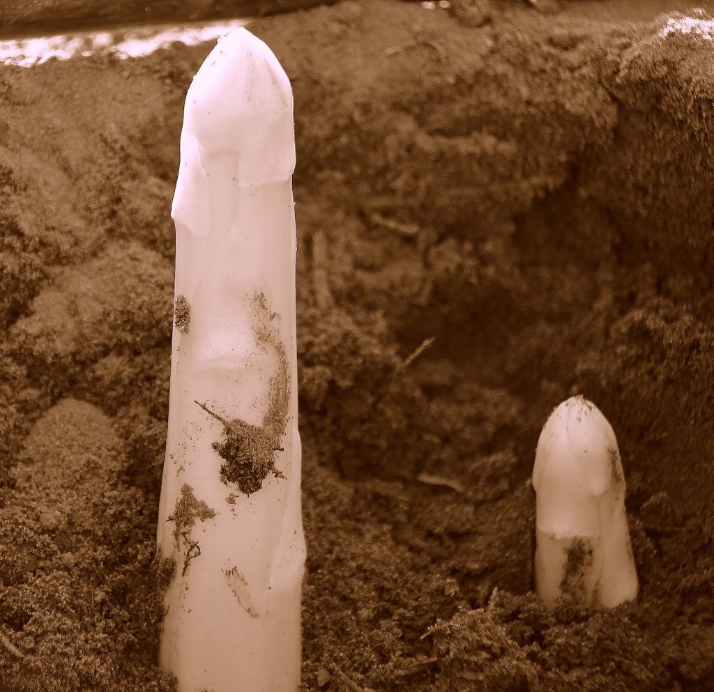 Natürliche Verlängerung / Vergrößerung des Penis: Gibt es da Methoden und Tipps?