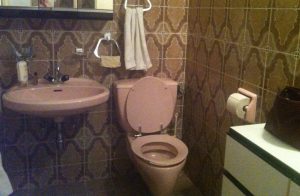 Toilette Klo Bad pupsen Stuhlgang Darmentleerung, das ist alles abtörnend für mich