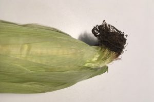 Mein Sperma ist dunkel, braun, bräunlich, was ist das???